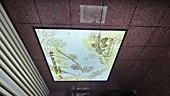 Оформление лестничного марша световыми конструкциями санаторий "Хвойный" 