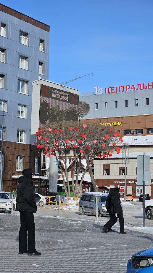 Украшение дерева сердечками ТЦ "Галерея вояж"